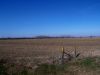 TRACT #4 LOCATED JUST SOUTH OF TRACT # 3 THIS 40 ACRES IS A VERY GOOD PIECE OF FARMLAND.