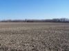 TRACT # 5 THIS LAND IS OUTSTANDING LYING JUST EAST OF DECATUR BEND. THIS IS ANOTHER PARCEL OF EXCELLENT FARMLAND YOU COULD TIE ON.