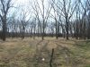 TRACT # 6 THIS IS ONE OF THE VIEWS SHOWING A GREAT HUNTING/RECREATIONAL PROPERTY.