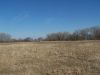 TRACT # 7 THIS SHOWS THE CRP LAND. THIS WOULD MAKE A NICE INVESTMENT PROPERTY TO ADD ONTO TRACT # 6 OR MAYBE EVEN # 5