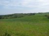 All the work has been done of seeding the grasses for the CRP.