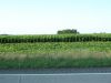 Tract # 1: This is another view looking south from the Highway west of Whiting.