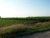 Tract # 1: This is a view as you turn south on Cork Avenue.