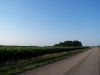 Tract # 1: A view from the west side looking SE across the land.