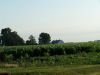 Tract # 1: This view is looking from the SW corner of the land to the NE.