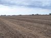 A view of Tract # 1 looking SW from 110th Street.