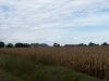 Looking NW from 110th Street at Tract # 2.
